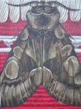 Nachtfalter IV (Weissdorneule)
