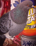 Gustav